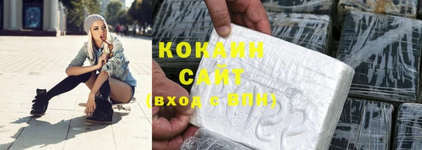 индика Горняк